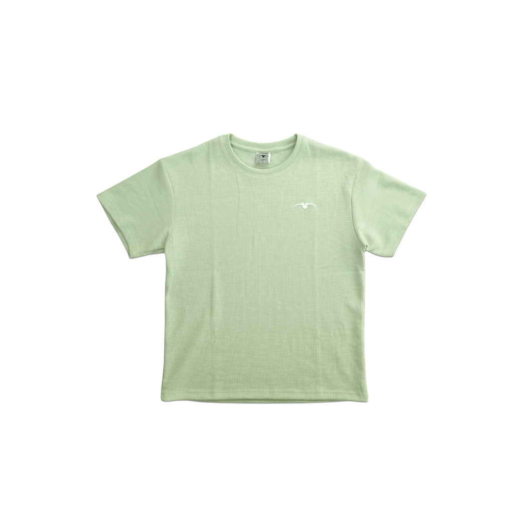 Minispov Waffle Tee Pistachio