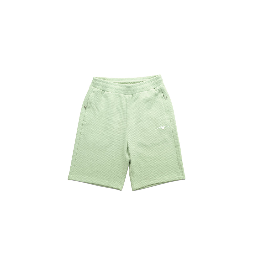 Minispov Waffle Shorts Pistachio