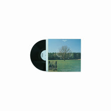 Fricky - Fricktion Vinyl LP
